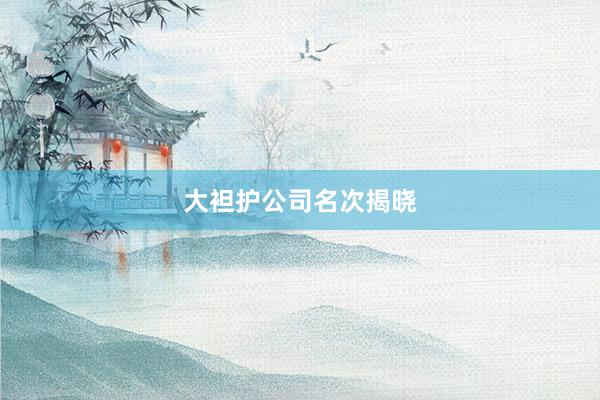 大袒护公司名次揭晓