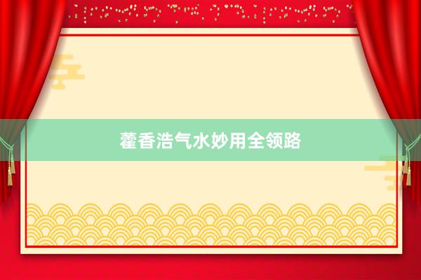藿香浩气水妙用全领路
